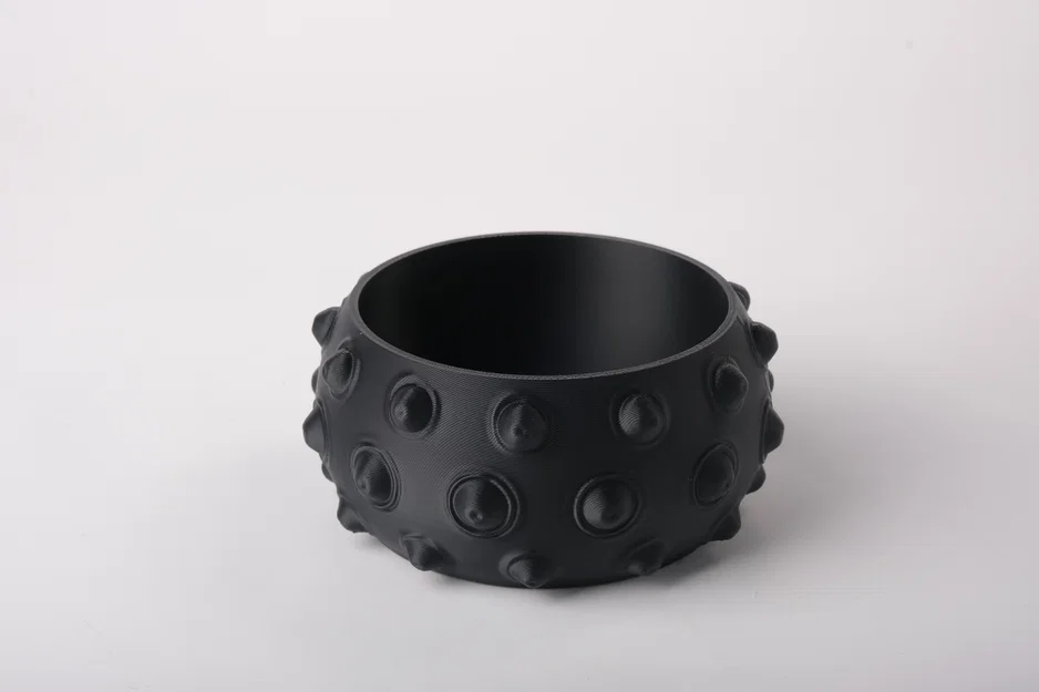 Khay Đựng Đồ Nhỏ Hình Nhím Biển (Sea Urchin Trinket Bowl) - Image 2