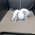 Hộp Sọ Quỷ Có Sừng (The Horned Demonic Skull) - Thumbnail 8