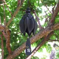 Chuông gió Hoa Chuông (Flower Bell Wind Chime) - Thumbnail 1