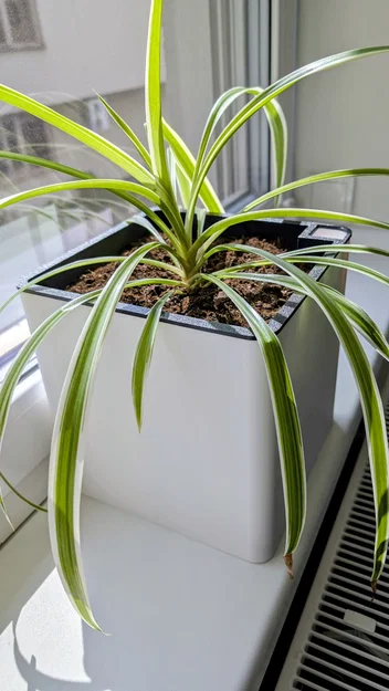 Chậu Tự Tưới Nước 20×20×20 cm (Self-Watering Planter) - Image 1