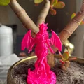Dragon Girl – Cô Gái Rồng Có Cánh - Thumbnail 3