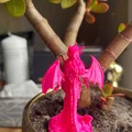 Dragon Girl – Cô Gái Rồng Có Cánh - Thumbnail 4
