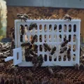 Lồng nhốt ong chúa diệt ve Varroa (Cage for queen bee - Käfig für Bienenkönigin) - Thumbnail 1
