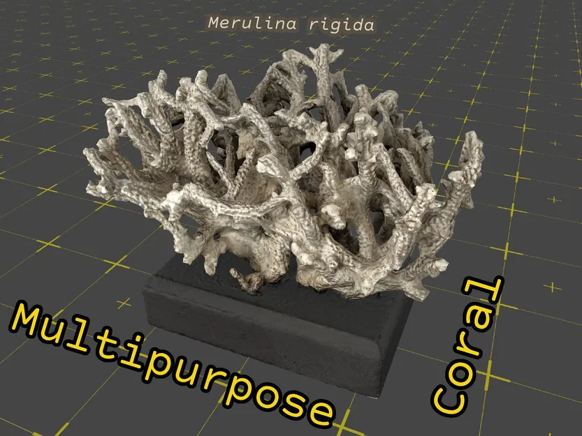 Mô hình 3D rặng san hô Merulina rigida trang trí độc đáo - Image 1
