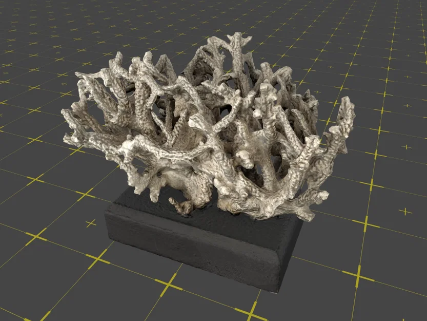 Mô hình 3D rặng san hô Merulina rigida trang trí độc đáo - Image 2