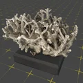 Mô hình 3D rặng san hô Merulina rigida trang trí độc đáo - Thumbnail 2