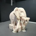 Voi Chạm Khắc Ngà (Ivory Carved Elephant) - Thumbnail 8