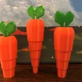 Cà rốt xếp gọn (Collapsible Carrot) - Thumbnail 1