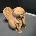 Hải ly dễ thương (Cute Beaver) - Thumbnail 8