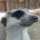earu_74431