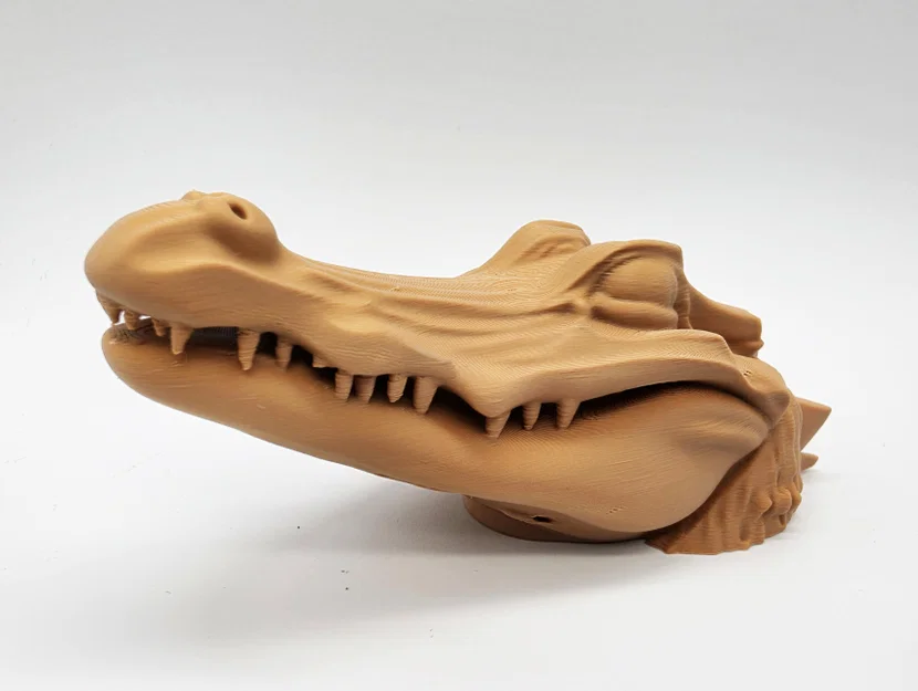 Cá Sấu Ú Òa (Peek-a-boo Alligator) - Image 1