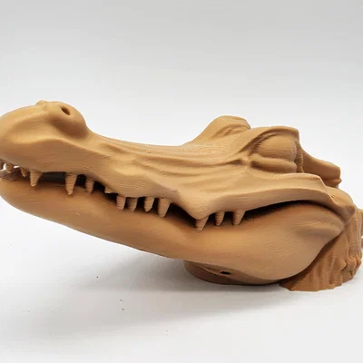 Cá Sấu Ú Òa (Peek-a-boo Alligator)