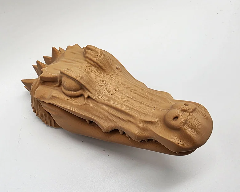 Cá Sấu Ú Òa (Peek-a-boo Alligator) - Image 3