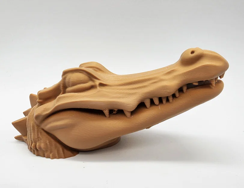 Cá Sấu Ú Òa (Peek-a-boo Alligator) - Image 5