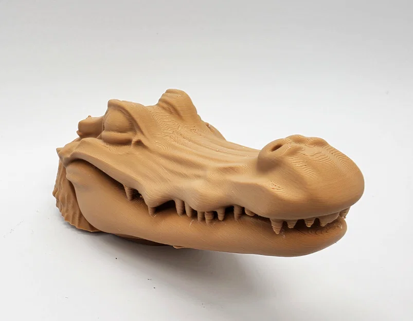 Cá Sấu Ú Òa (Peek-a-boo Alligator) - Image 6