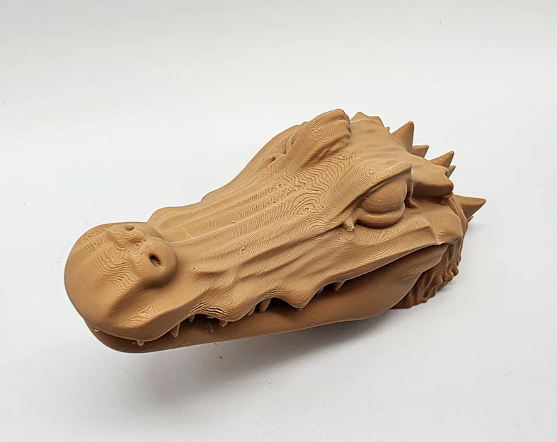 Cá Sấu Ú Òa (Peek-a-boo Alligator) - Image 7