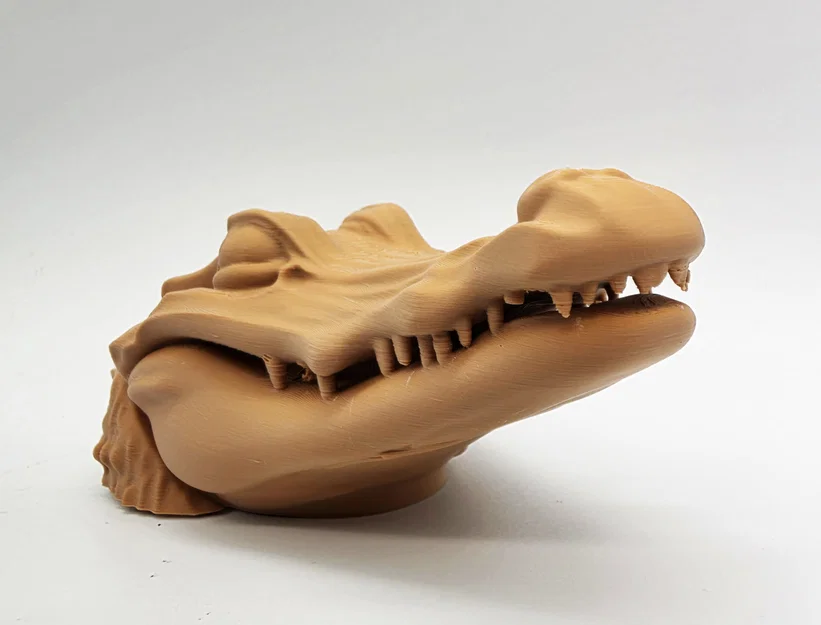 Cá Sấu Ú Òa (Peek-a-boo Alligator) - Image 8