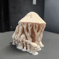 Elder Fungus - Bộ sưu tập Shooms! - Thumbnail 7