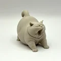 Mèo Chonk Ngáp Dài (Yawning Chonk Cat) - Thumbnail 1