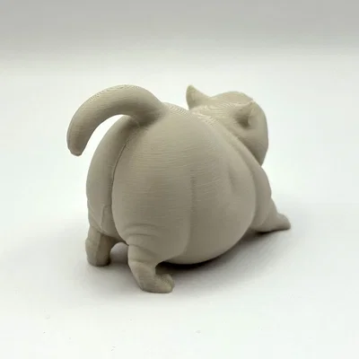 Mèo Chonk Ngáp Dài (Yawning Chonk Cat)