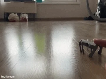Mô hình cào cào nhảy 3D JUMPING Grasshopper độc đáo dễ in - Image 2