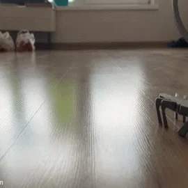 Mô hình cào cào nhảy 3D JUMPING Grasshopper độc đáo dễ in