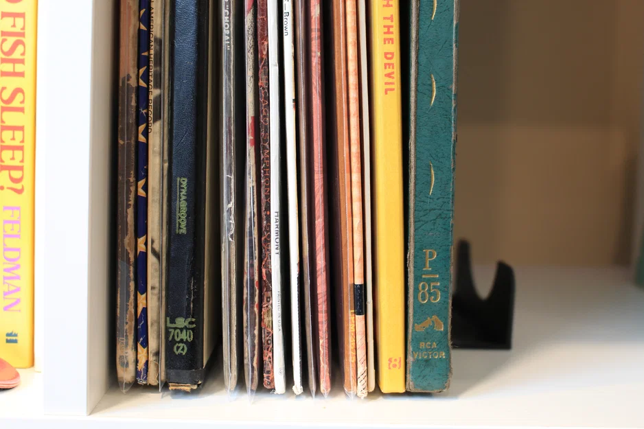 Khay lưu trữ đĩa vinyl cho kệ Ikea - Image 4