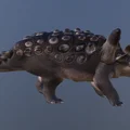 Mô hình khủng long Animantarx in 3D độc đáo cho người đam mê - Thumbnail 2
