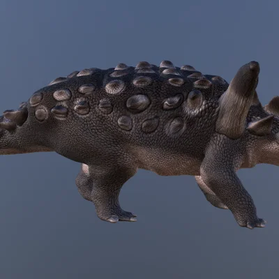 Mô hình khủng long Animantarx in 3D độc đáo cho người đam mê