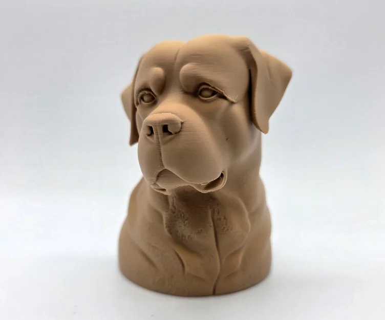 Tượng Bán Thân Rottweiler Trầm Tư (Rottweiler Bust Pensive) - Image 1