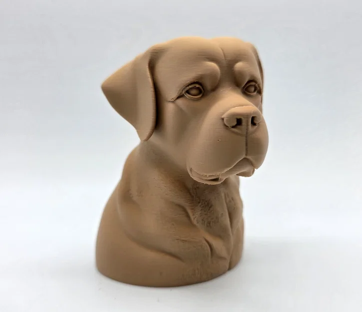 Tượng Bán Thân Rottweiler Trầm Tư (Rottweiler Bust Pensive) - Image 2