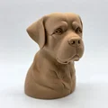 Tượng Bán Thân Rottweiler Trầm Tư (Rottweiler Bust Pensive) - Thumbnail 2