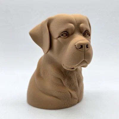 Tượng Bán Thân Rottweiler Trầm Tư (Rottweiler Bust Pensive)