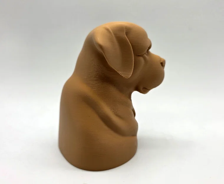 Tượng Bán Thân Rottweiler Trầm Tư (Rottweiler Bust Pensive) - Image 4