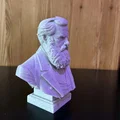 Pedro II của Brazil (The Magnanimous) — Tượng bán thân - Thumbnail 4