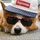 THEUSER1980_1316067