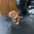 Mô hình khủng long T-Rex hoạt hình (Dinosaurio T-Rex) - File in 3D - Thumbnail 2