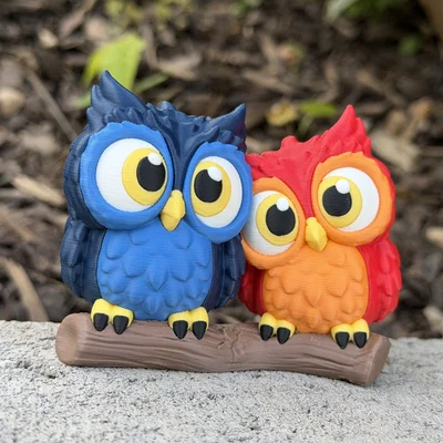 Cute Owls - Cặp đôi cú dễ thương