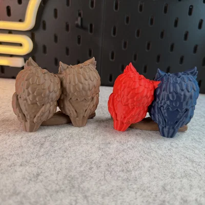 Cute Owls - Cặp đôi cú dễ thương