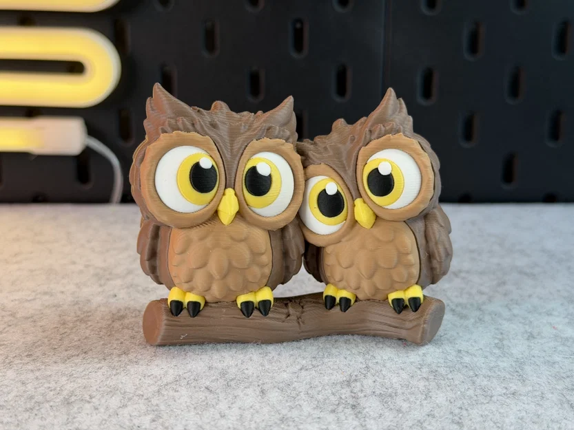 Cute Owls - Cặp đôi cú dễ thương - Image 5