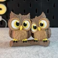 Cute Owls - Cặp đôi cú dễ thương - Thumbnail 5