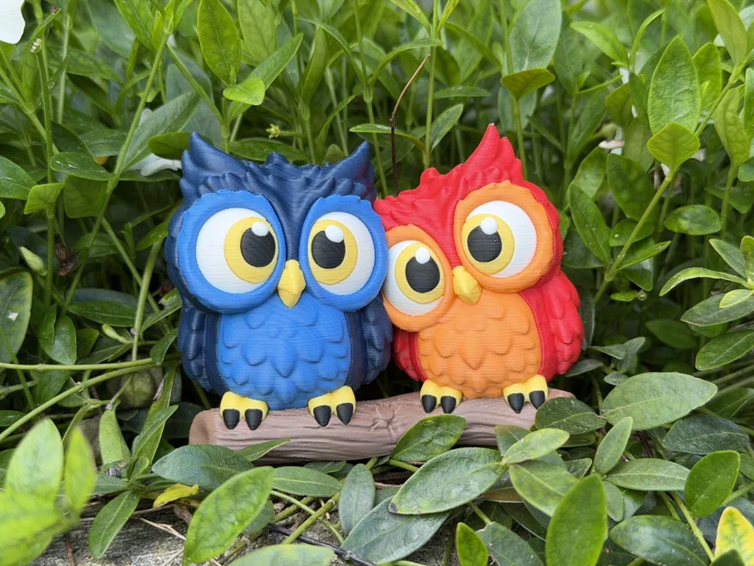 Cute Owls - Cặp đôi cú dễ thương - Image 6