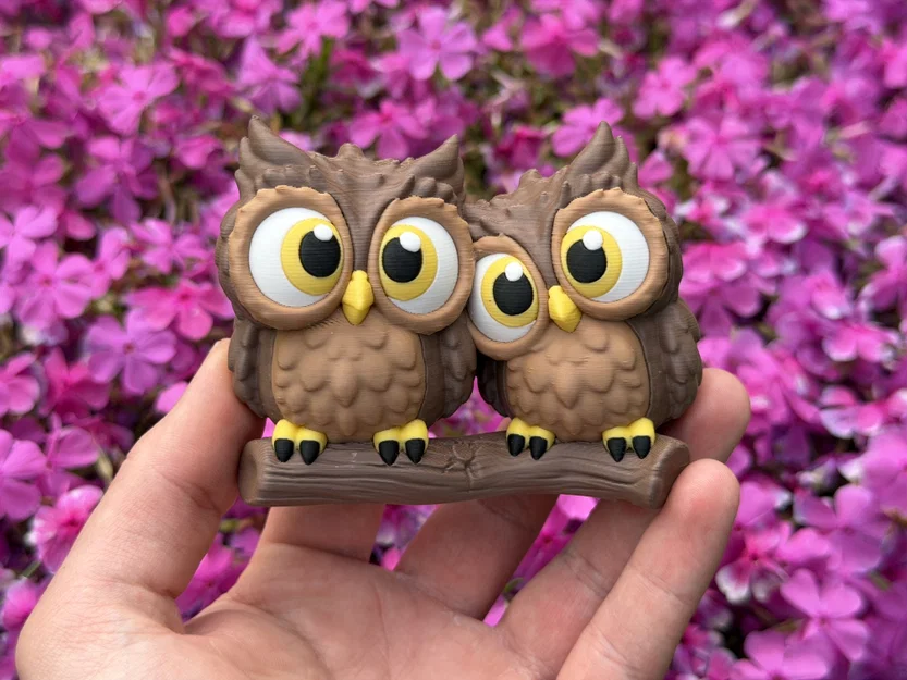 Cute Owls - Cặp đôi cú dễ thương - Image 8