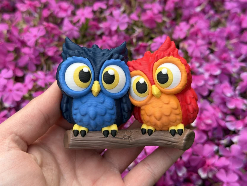 Cute Owls - Cặp đôi cú dễ thương - Image 9