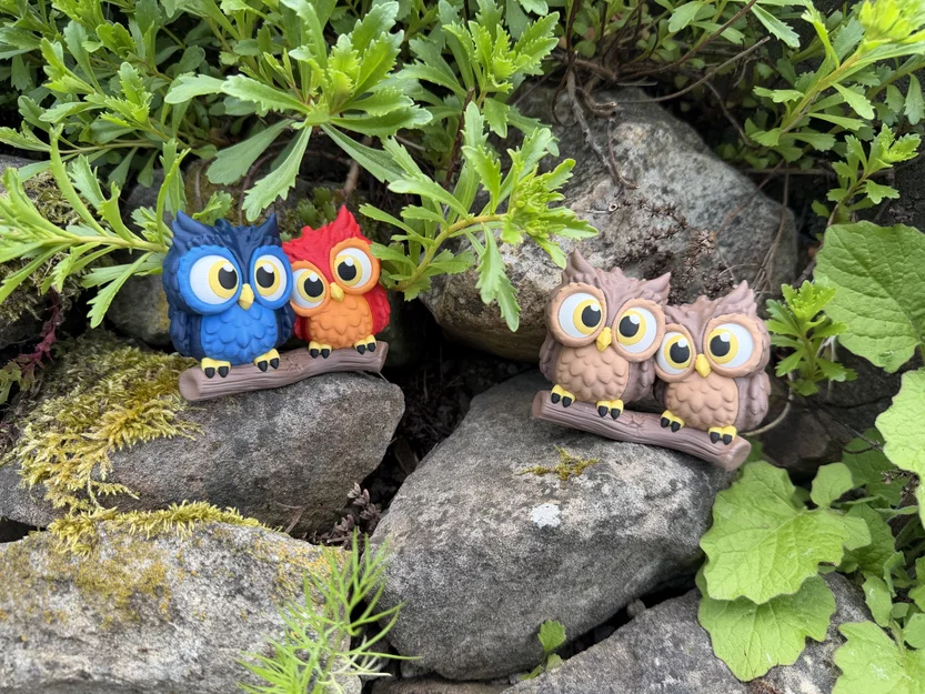 Cute Owls - Cặp đôi cú dễ thương - Image 10