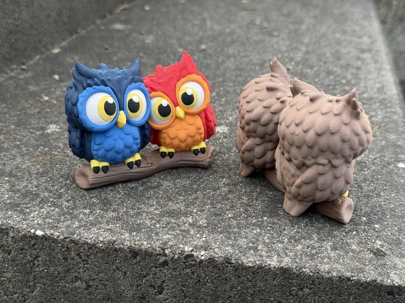 Cute Owls - Cặp đôi cú dễ thương - Image 12