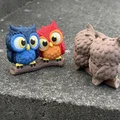 Cute Owls - Cặp đôi cú dễ thương - Thumbnail 12