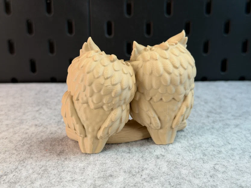 Cute Owls - Cặp đôi cú dễ thương - Image 14
