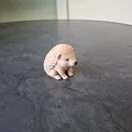 Chú Nhím Nhỏ Vui Vẻ, in nhanh - Thumbnail 1