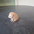 Chú Nhím Nhỏ Vui Vẻ, in nhanh - Thumbnail 2